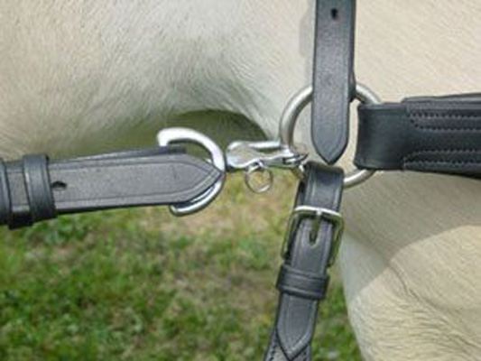 ONE IDEAL EQUESTRIAN DRIVING QUICK RELEASE SHACKLE 